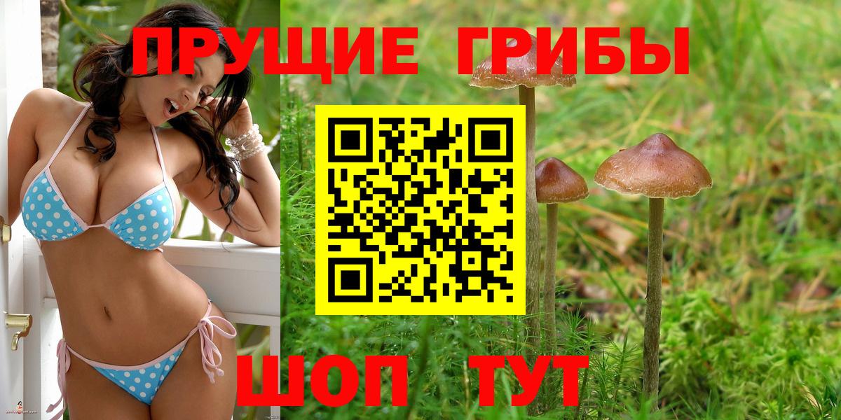 Псилоцибиновые грибы MAGIC MUSHROOMS  Вход с VPN  Псилоцибиновые грибы мухоморы  Нефтекумск 