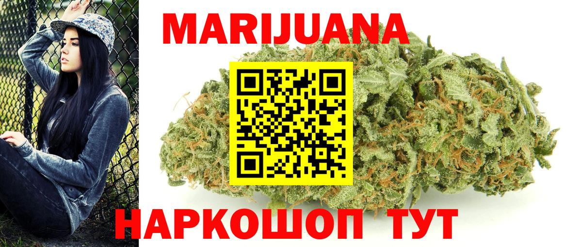 Конопля сатива Нефтекумск